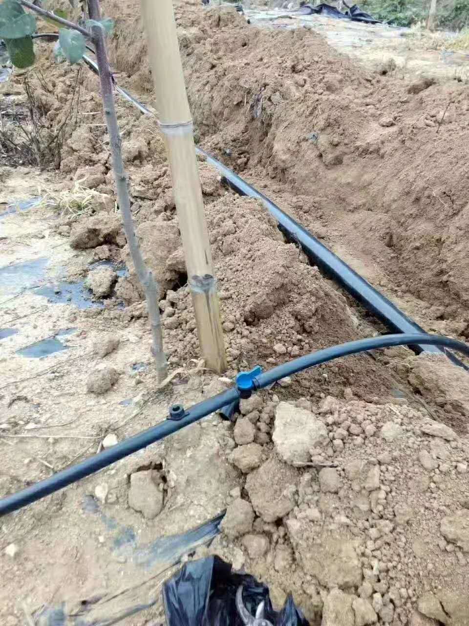 山西滴灌技术要点要掌握