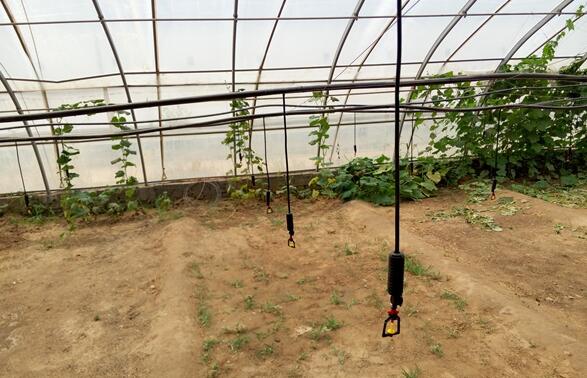 温室大棚微山西喷灌技术-大棚蔬菜灌溉设备